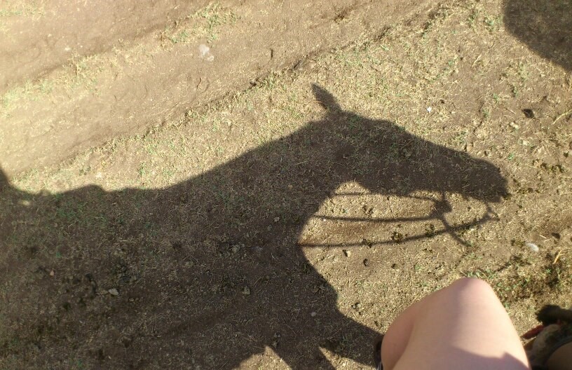 クアロア乗馬ブログ